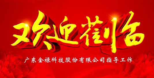 鎮(zhèn)總工會(huì)副主席蒞臨金祿科技指導(dǎo)
